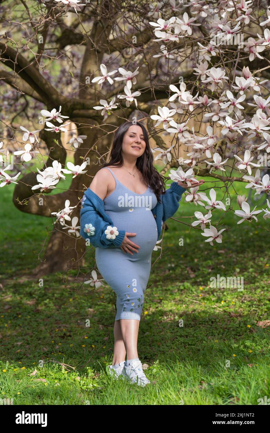 Porträt einer niedlichen schwangeren Frau im Park, gekleidet in einem blauen Kleid zwischen Magnoli-Blumen. Eine Frau hält sanft ihren schwangeren Bauch. Schwangerschaft. Warten Sie Stockfoto