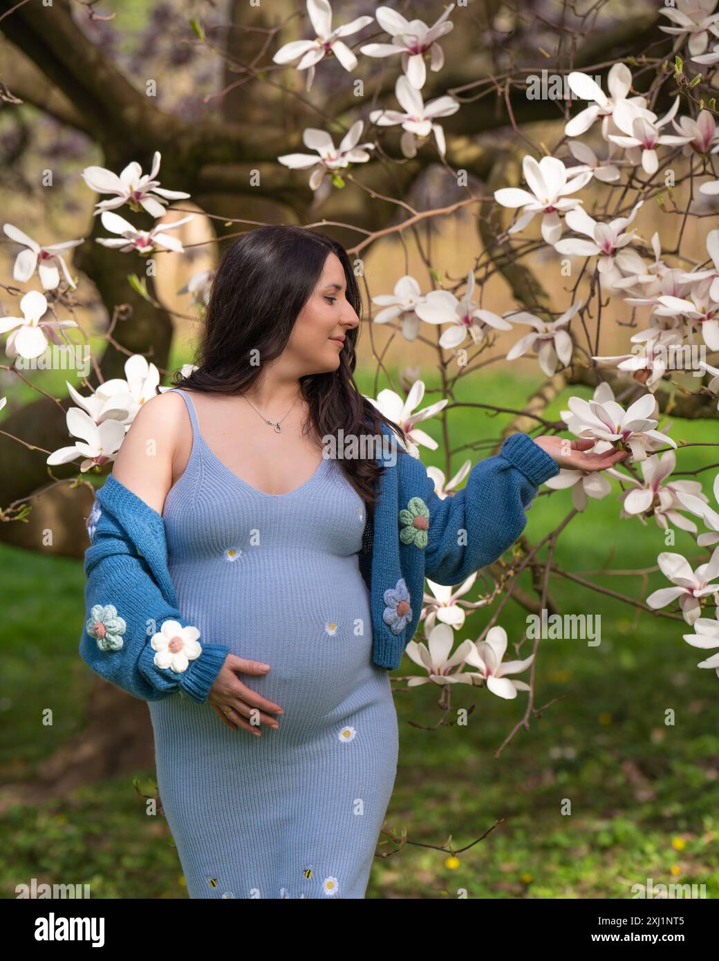 Porträt einer niedlichen schwangeren Frau im Park, gekleidet in einem blauen Kleid mit Blumen. Das Mädchen schaut sich die wunderschönen Magnolienblüten an und hält sie sanft Stockfoto