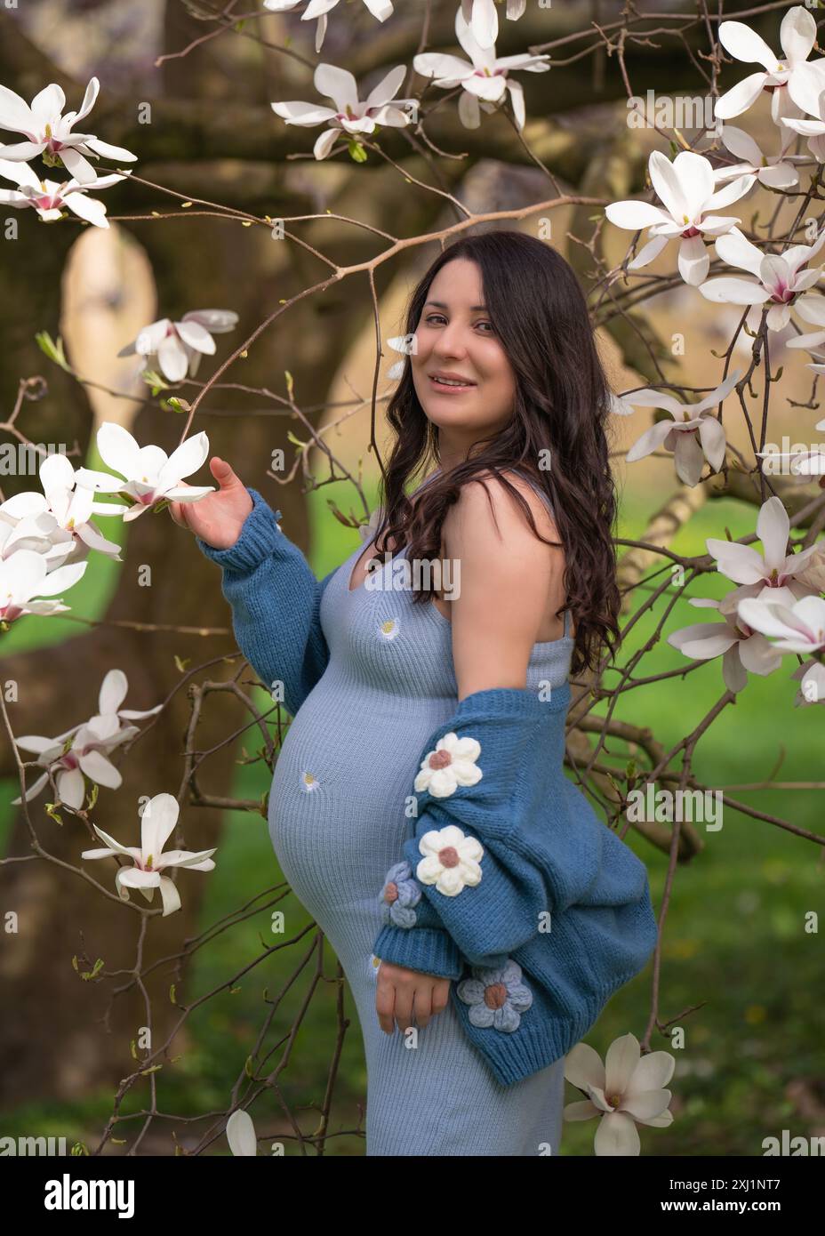 Porträt einer niedlichen schwangeren Frau im Park, gekleidet in einem blauen Kleid zwischen Magnoli-Blumen. Rückansicht. Schwangerschaft. Stockfoto