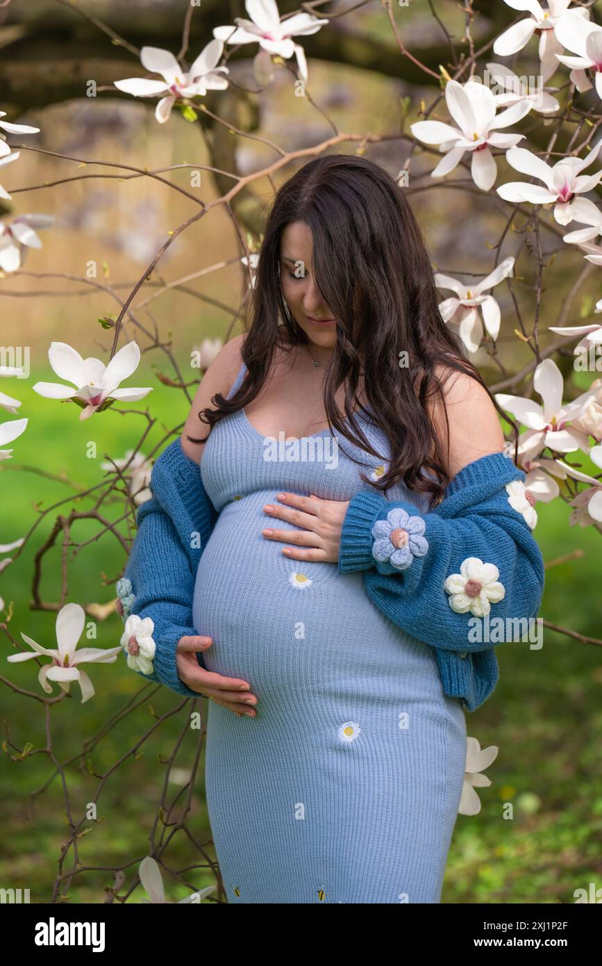 Porträt einer niedlichen schwangeren Frau im Park, gekleidet in einem blauen Kleid zwischen Magnoli-Blumen. Die werdende Mutter schaut zärtlich auf ihre schwangere Glocke Stockfoto