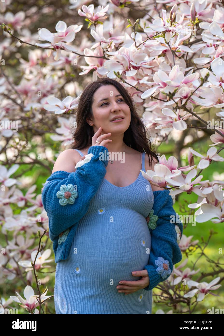 Porträt einer niedlichen schwangeren Frau im Park, gekleidet in einem blauen Kleid zwischen Magnoli-Blumen. Die werdende Mutter schaut zärtlich auf einen blühenden Baum. Stockfoto