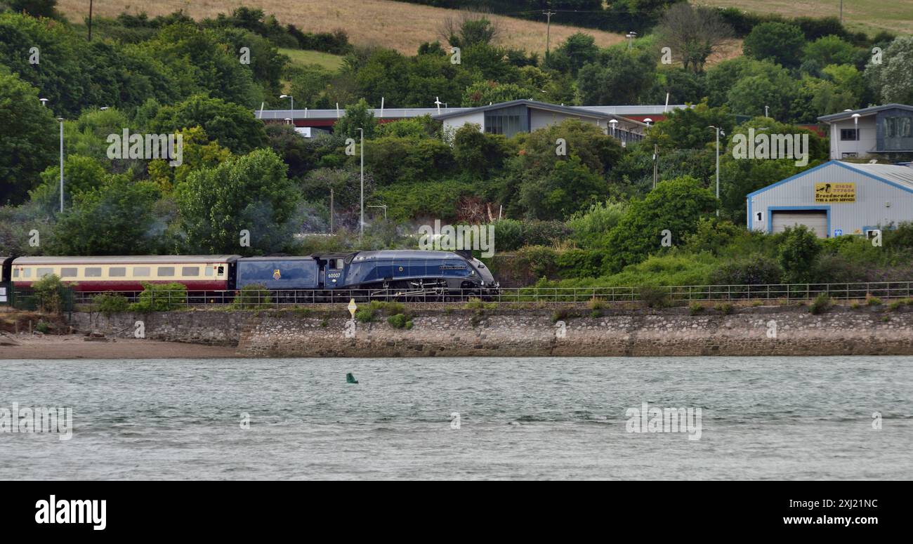 LNER Class A4 Pacific No. 60007 Sir Nigel Gresley entlang der Teign ...