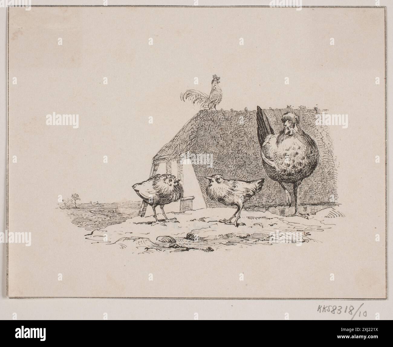 Eine Lithografie, die männliche Hühner (Hähne) zeigt, die ihr Gefieder und ihre Haltung zeigen, erstellt von Kittendorff und Lundbye. Stockfoto