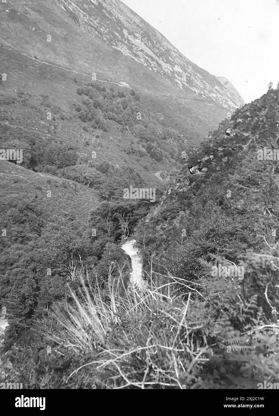 Ein Fußweg in den Hügeln bei Groudle Glen, Isle of man. Eine hügelige Landschaft. Dieses Foto stammt von einem edwardianischen Original, um 1910. Das Original war Teil eines Albums von 150 Albumenfotos von unterschiedlicher Qualität, von denen ich viele fotografiert habe. Die Sammlung enthielt Bilder vor allem von der Isle of man und der englischen Grafschaft Devonshire. Anmerkungen waren im Album enthalten, aber leider gab es keine genauen Daten. Die Originalfotos waren durchschnittlich 6 x 4 ½ Zoll. Stockfoto