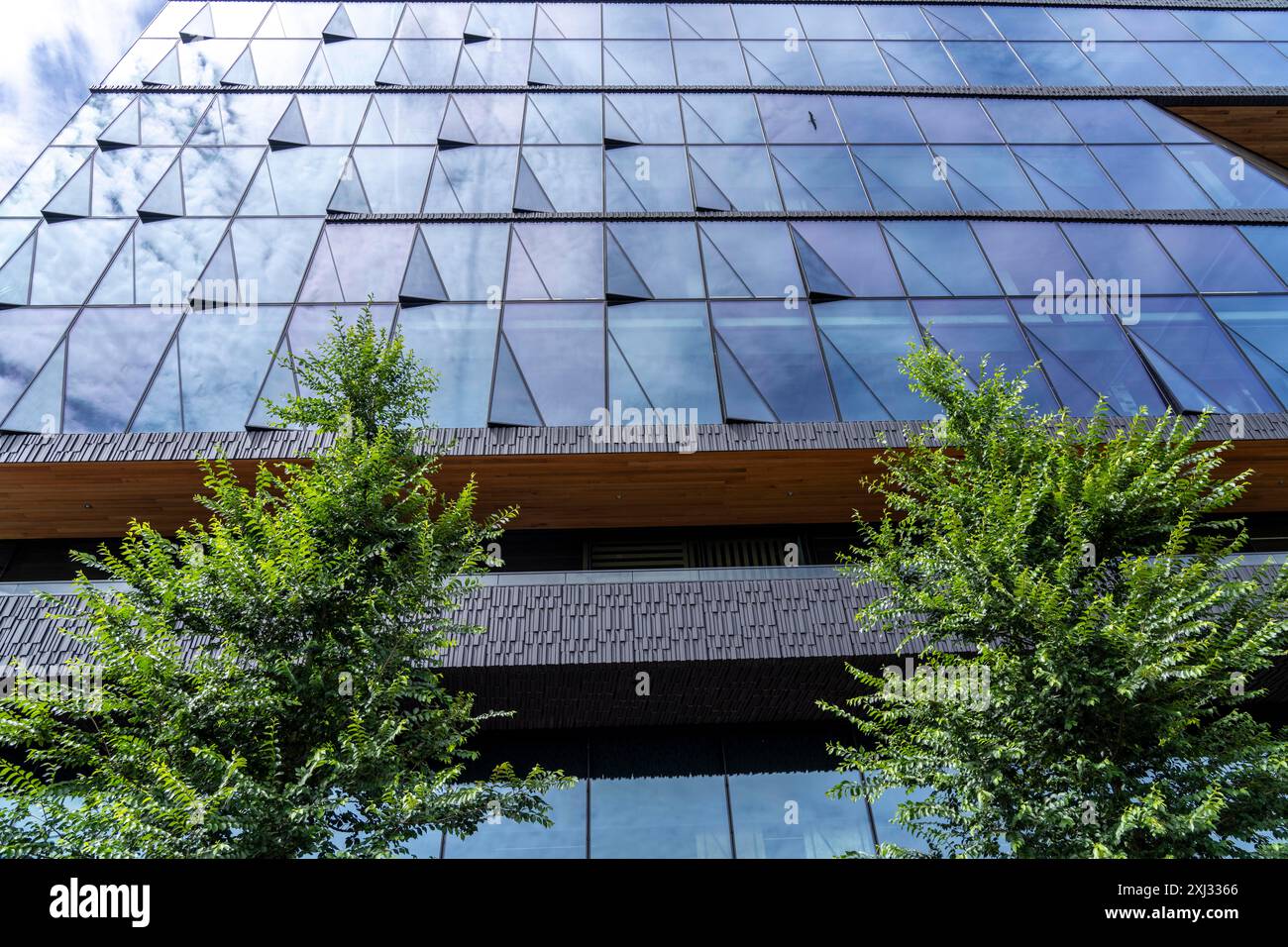 Neuer Firmensitz von Booking.com, Online-Reisebüro, Hotelmakler, Gebäude im Oosterdokseiland im Stadtzentrum von Amsterdam, Niederlande Stockfoto