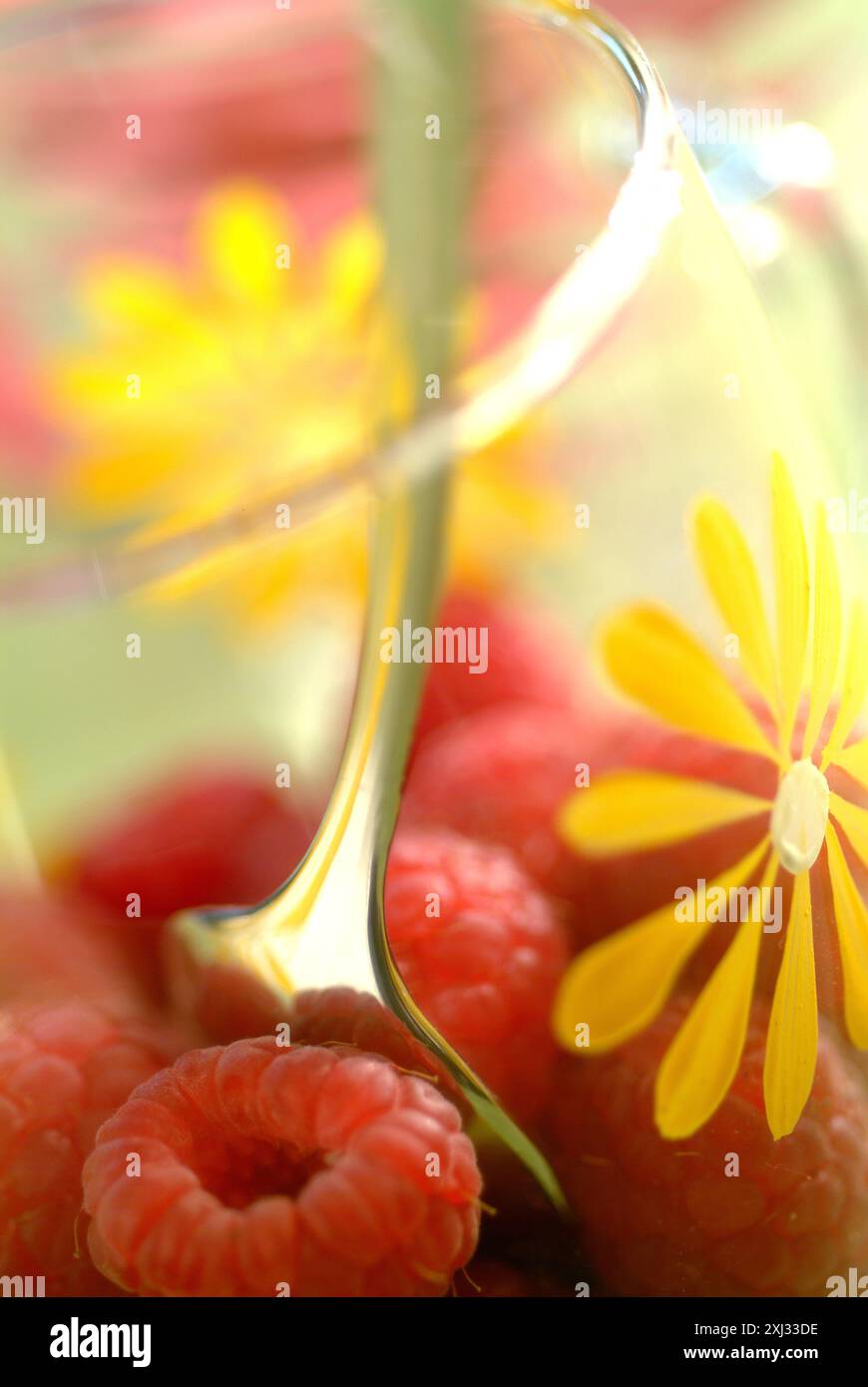 Himbeeren Stockfoto