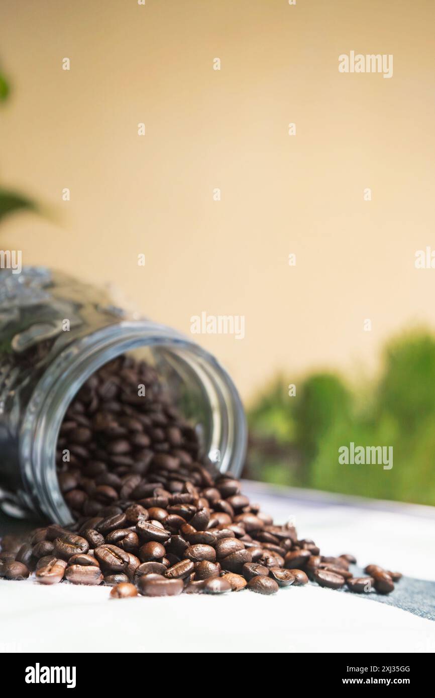 Auf einem Tisch geröstete Kaffeebohnen. Ein Glas Kaffeebohnen zum Mahlen. Arabica-Bohnen in einem Café Stockfoto