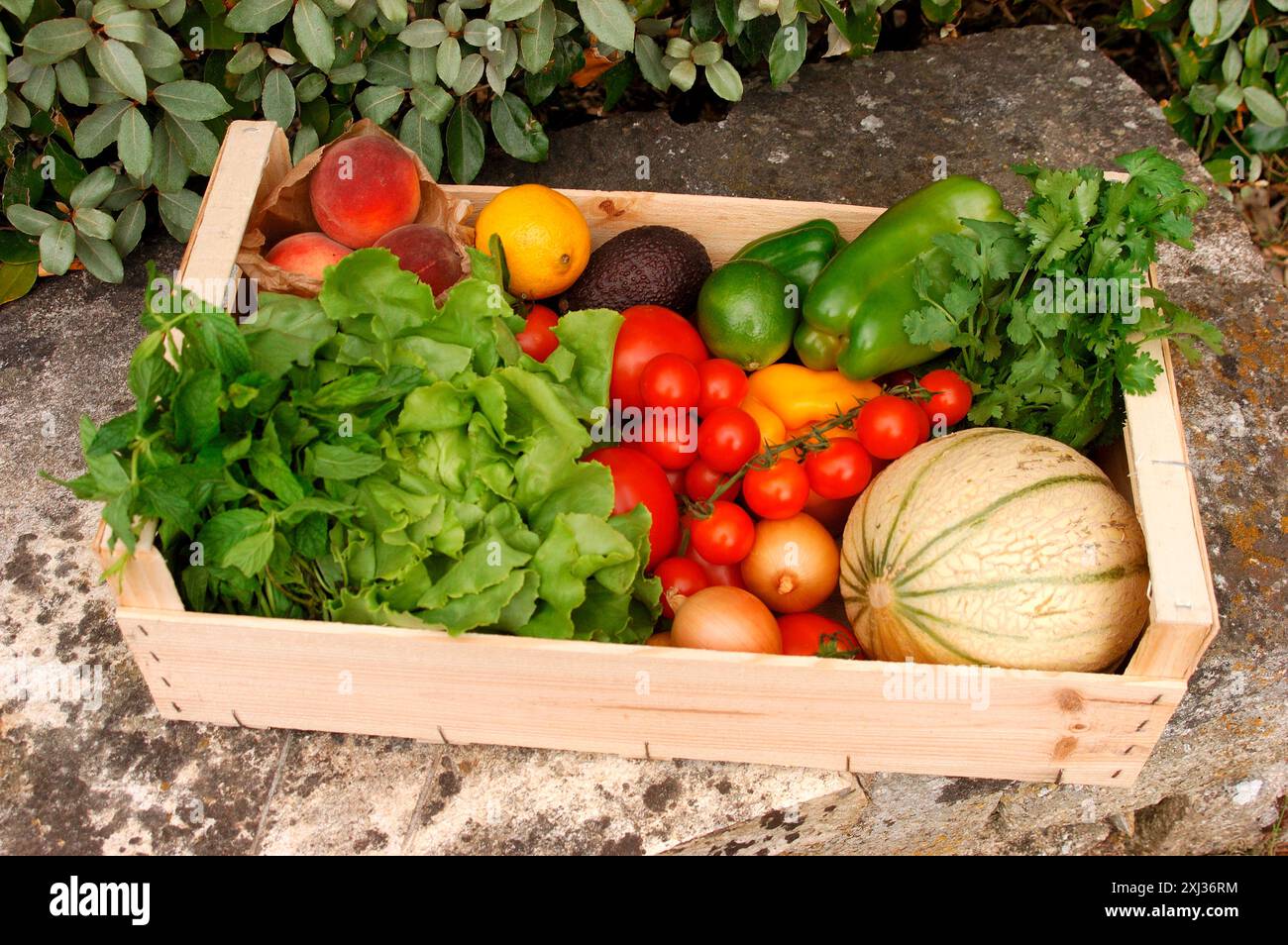 Kiste mit Obst und Gemüse vom Markt Stockfoto