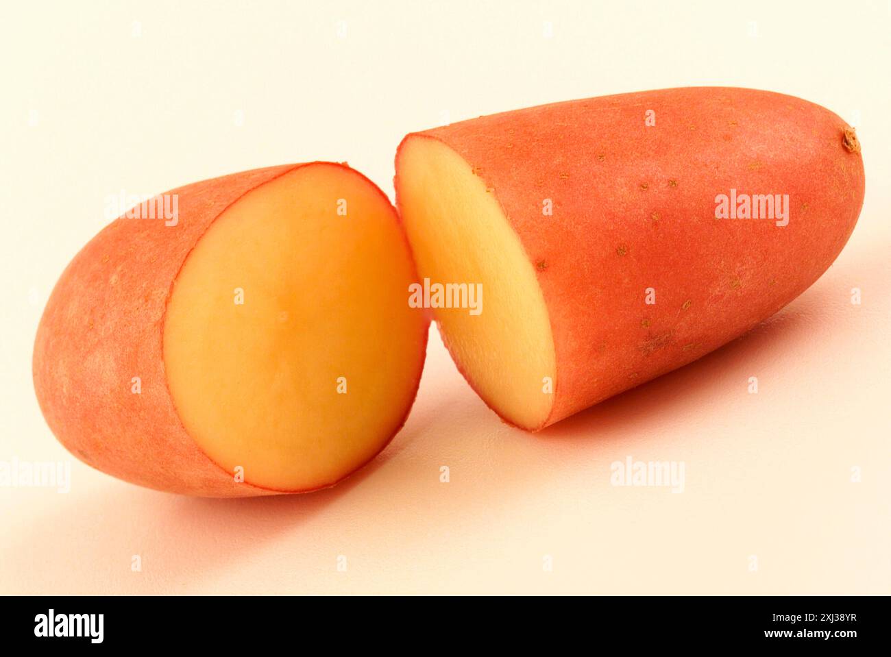 Rosenkartoffel Stockfoto