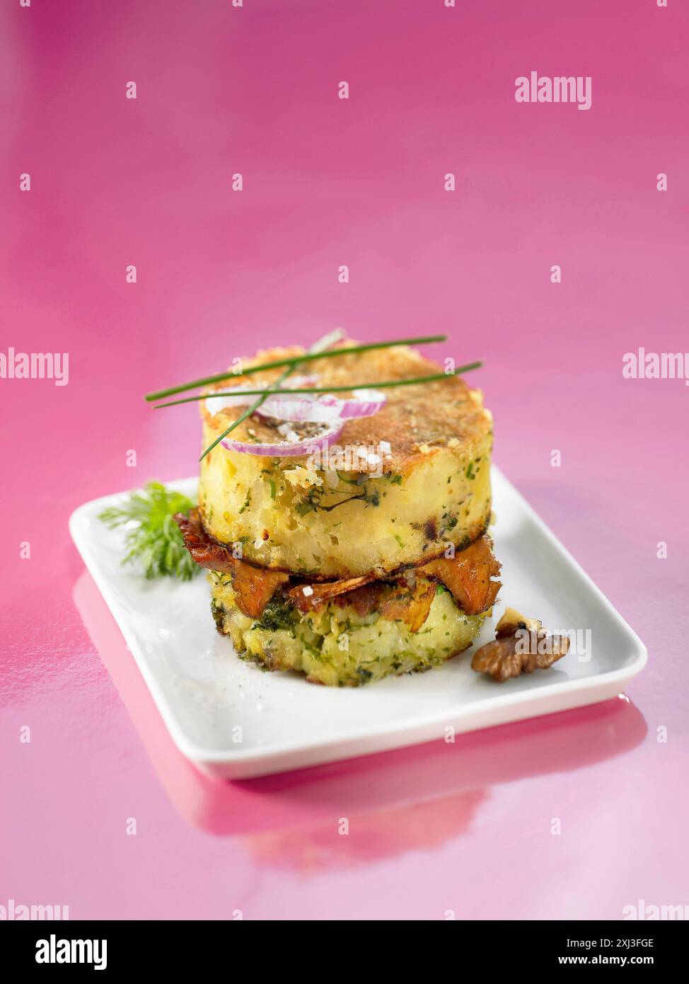 Pfifferling-Pilz-Kartoffelkuchen (Thema: Kartoffel) Stockfoto