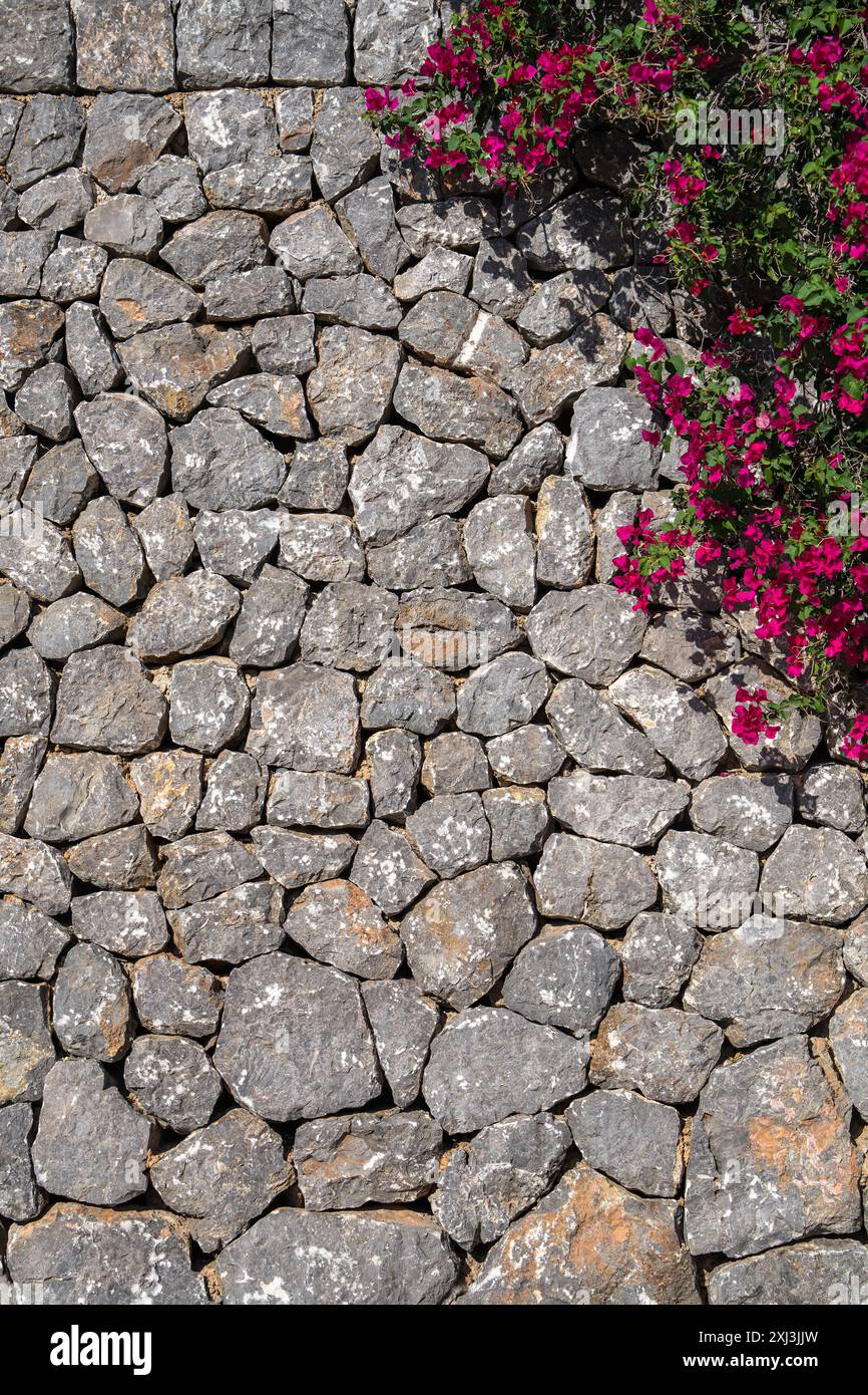 Steinmauer. Oben, in einer Ecke des Zauns, wachsen rote Blumen. Postkarte, Textur, Hintergrund. Stockfoto