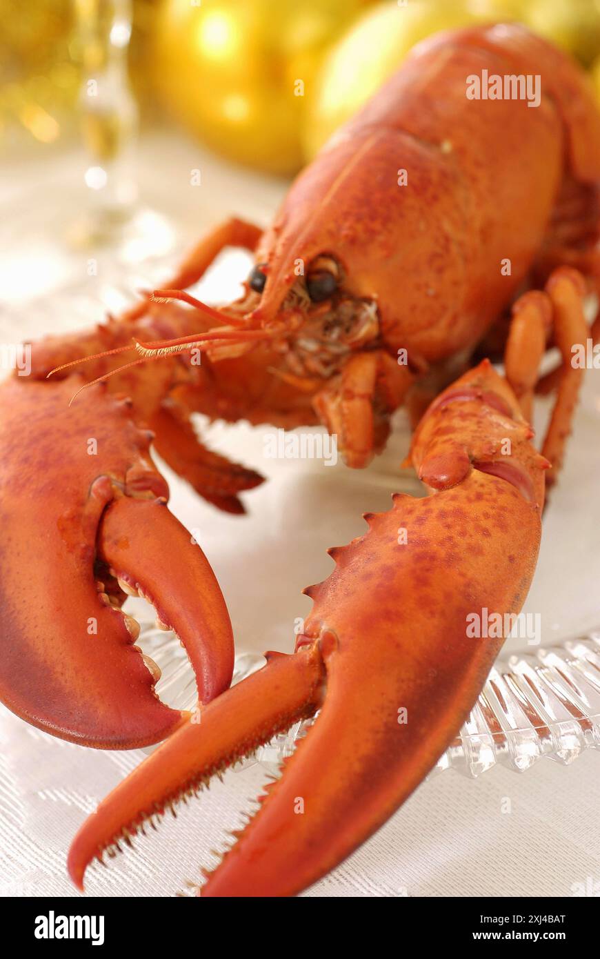 Gekochter Hummer Stockfoto