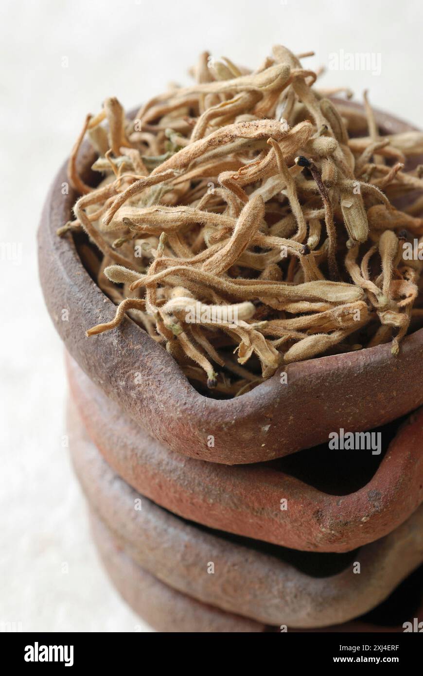 Getrocknete Geißblatt Stockfoto