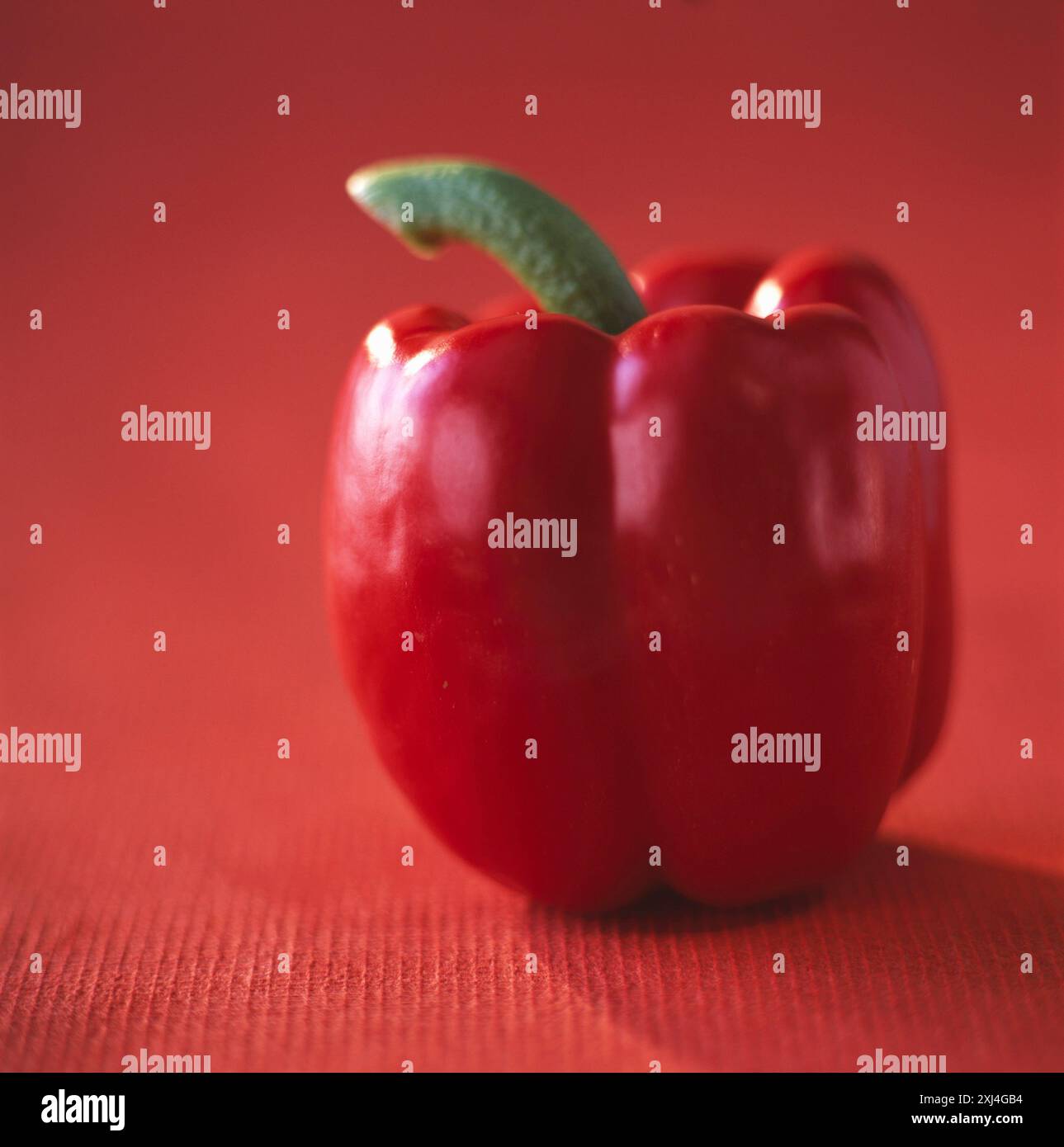 Rote Paprika Stockfoto