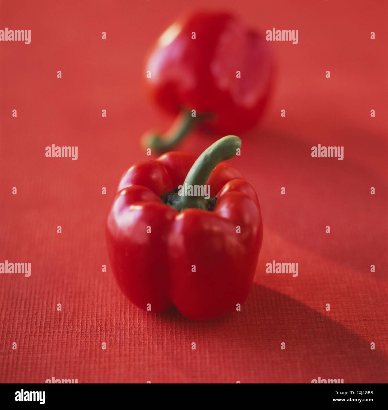 Rote Paprika Stockfoto