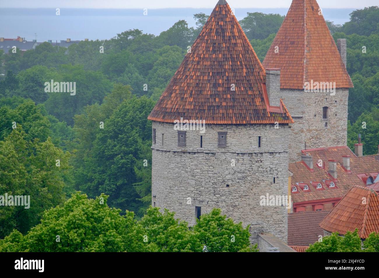 Mittelalterliche Burg mit runden Türmen und Dachziegeln in einer grünen und bewaldeten Landschaft mit Blick auf das Meer, tallinn, estland Stockfoto