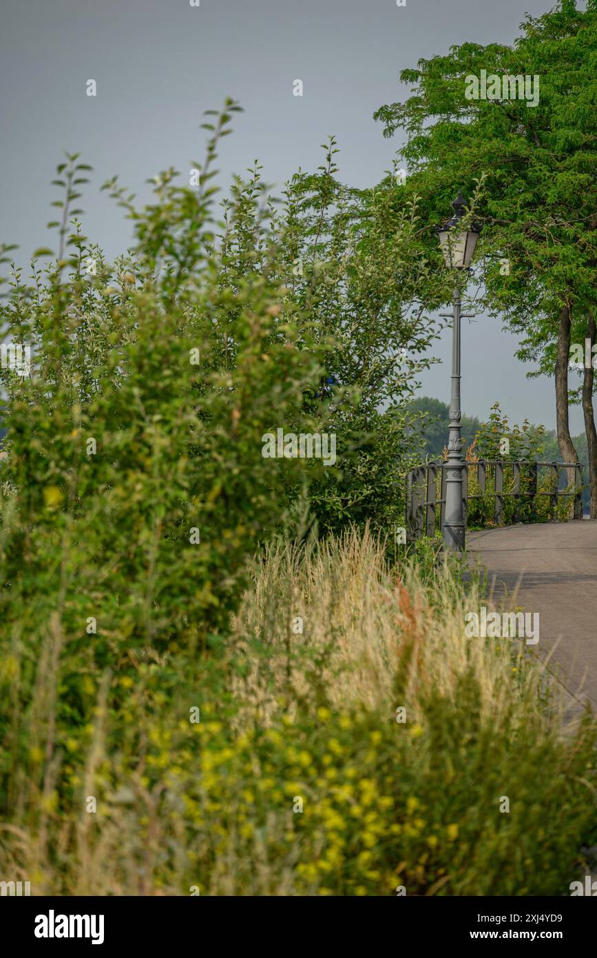 Ein friedlicher Pfad entlang dichter Vegetation und Laternen mit Blick auf die grüne Landschaft, rees, deutschland Stockfoto