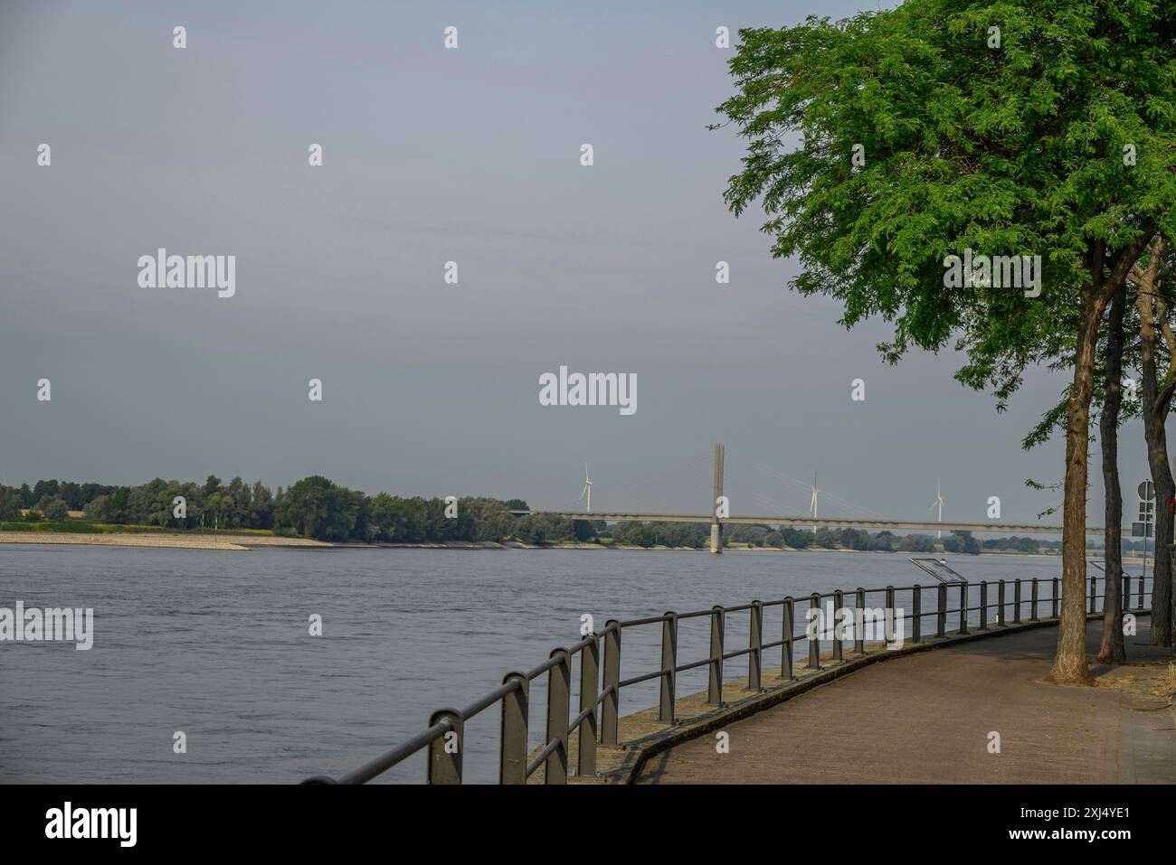 Ein ruhiger Fluss neben einer Promenade mit Bäumen und Blick auf eine Brücke in der Ferne, rees, deutschland Stockfoto