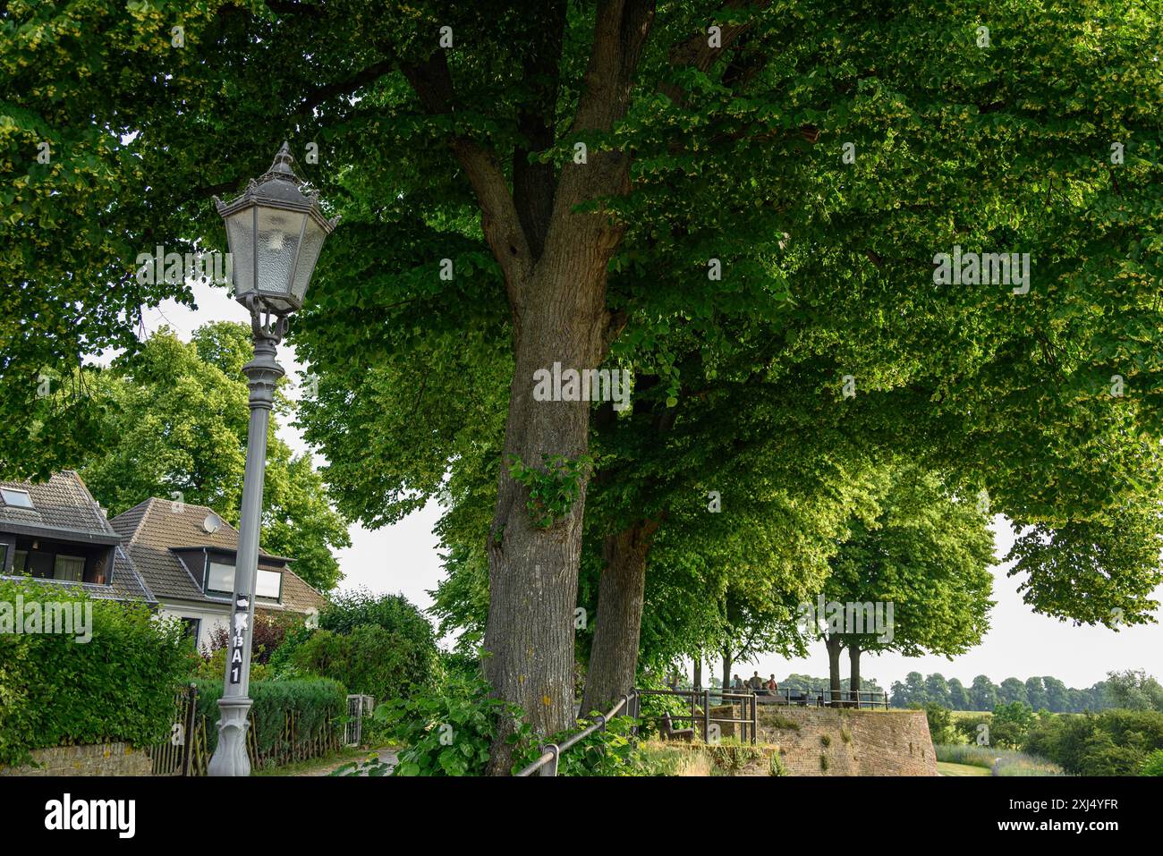 Große Bäume und eine antike Straßenlaterne in einer friedlichen Dorfszene, rees, deutschland Stockfoto