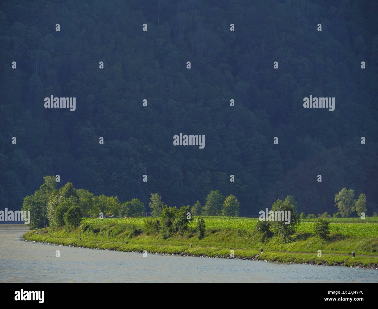 Der Fluss fließt ruhig entlang einer grünen Uferlandschaft mit Bäumen, wachau, Österreich Stockfoto