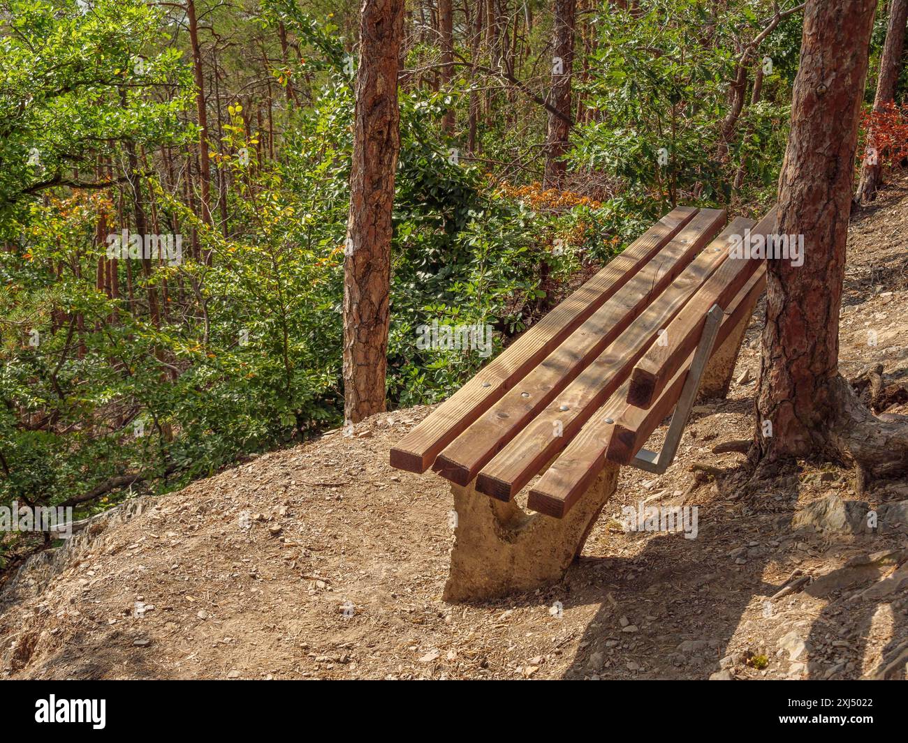 Eine einfache Holzbank im Wald lädt zum Verweilen ein, umgeben von Grün und Natur, waldeck, hessen, deutschland Stockfoto