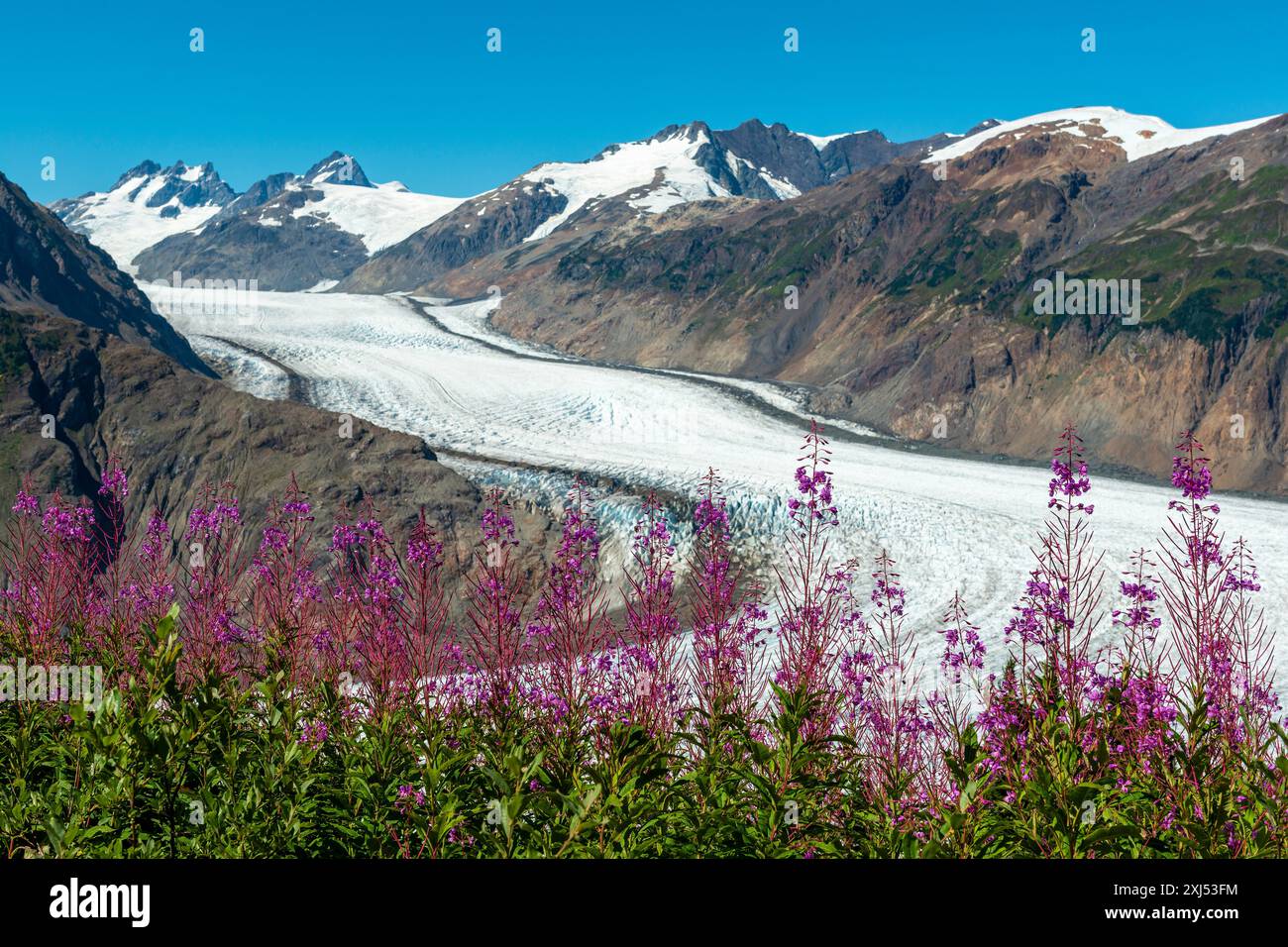 Lachsgletscher bei Hyder (Alaska), British Columbia, Kanada. Stockfoto