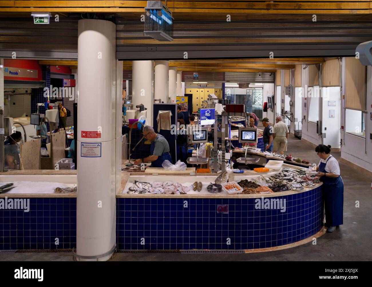 Fischtheke, frischer Fisch, Ausstellung von frischem Fisch, Markthalle, Mercado Municipal de Lagos, Lagos, Algarve, Portugal Stockfoto