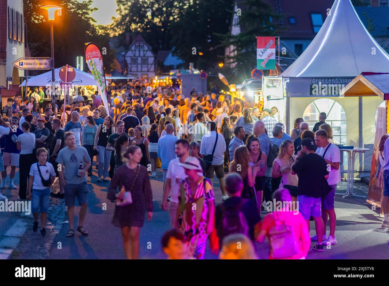 31. Elbhangfest Festmeile Fidelio F. Finke Straße, 31. Elbhangfest, Dresden, Sachsen, Deutschland Stockfoto