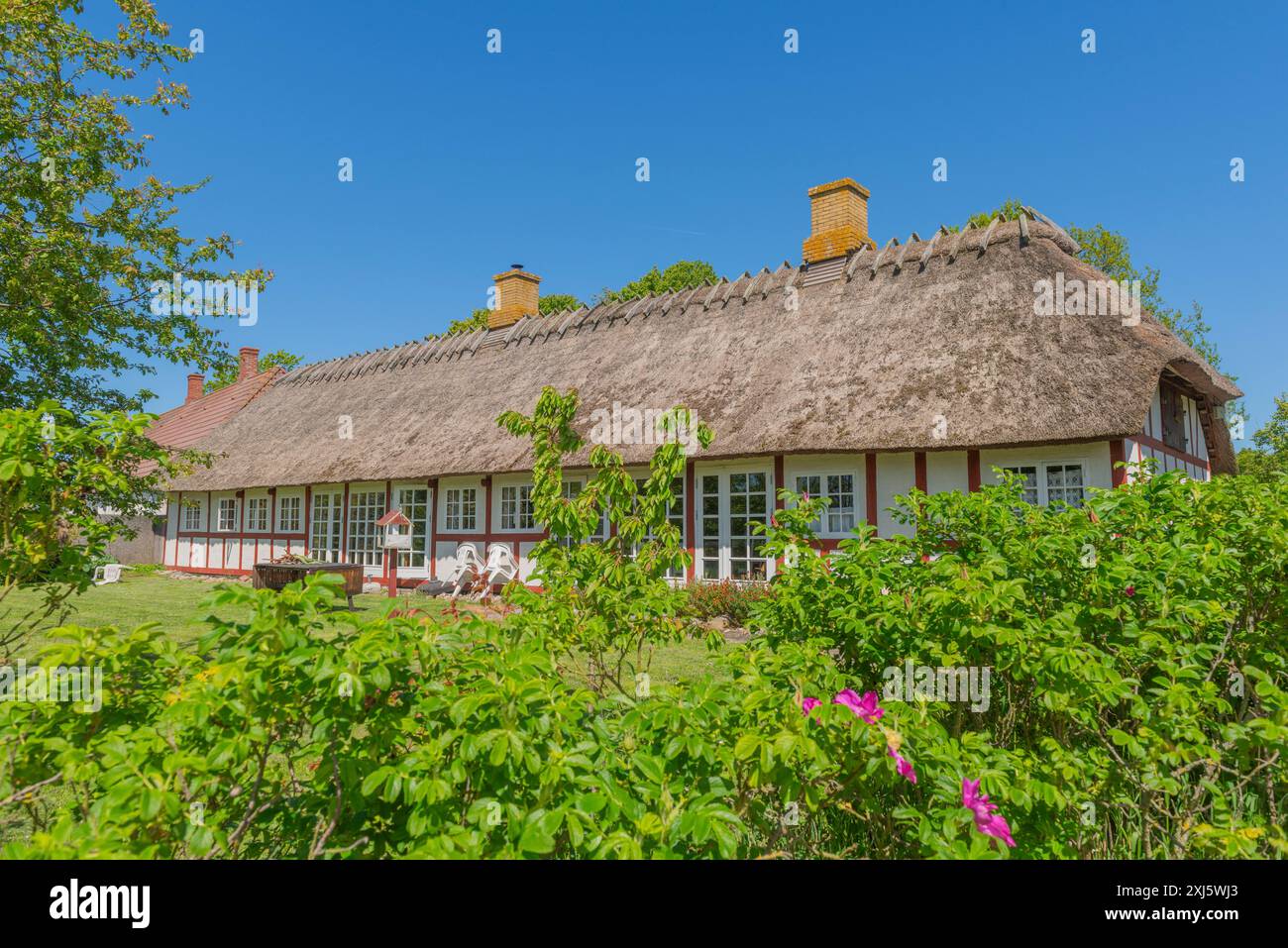 Insel Skaro, Skaroe, reetgedecktes Fachwerkhaus, dänische Südsee, Baumgruppe, Idyll, Sydfyn, Südfünen, Dänemark Stockfoto