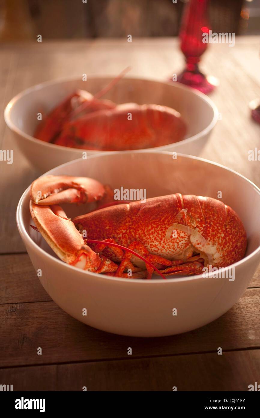 Gekochter Hummer Stockfoto