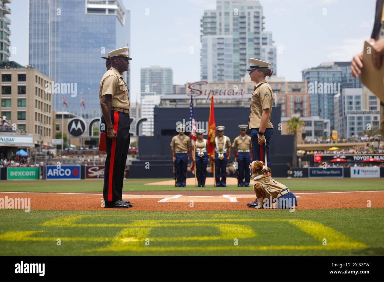 Am 14. Juli 2024 veranstalten die US-Marines zusammen mit dem Marine Corps Recruit Depot San Diego im Petco Park Stadium, San Diego, eine Promotionszeremonie für das MCRD Maskottchen PFC. Bruno. Die US-Marines nahmen an dem Military Salute der San Diego Padres an das Marine Corps Teil, um das Engagement der US-Marines zu ehren und sich mit der San Diego Community zu verbinden. (Foto des U.S. Marine Corps von Sgt. Patrick King) Stockfoto