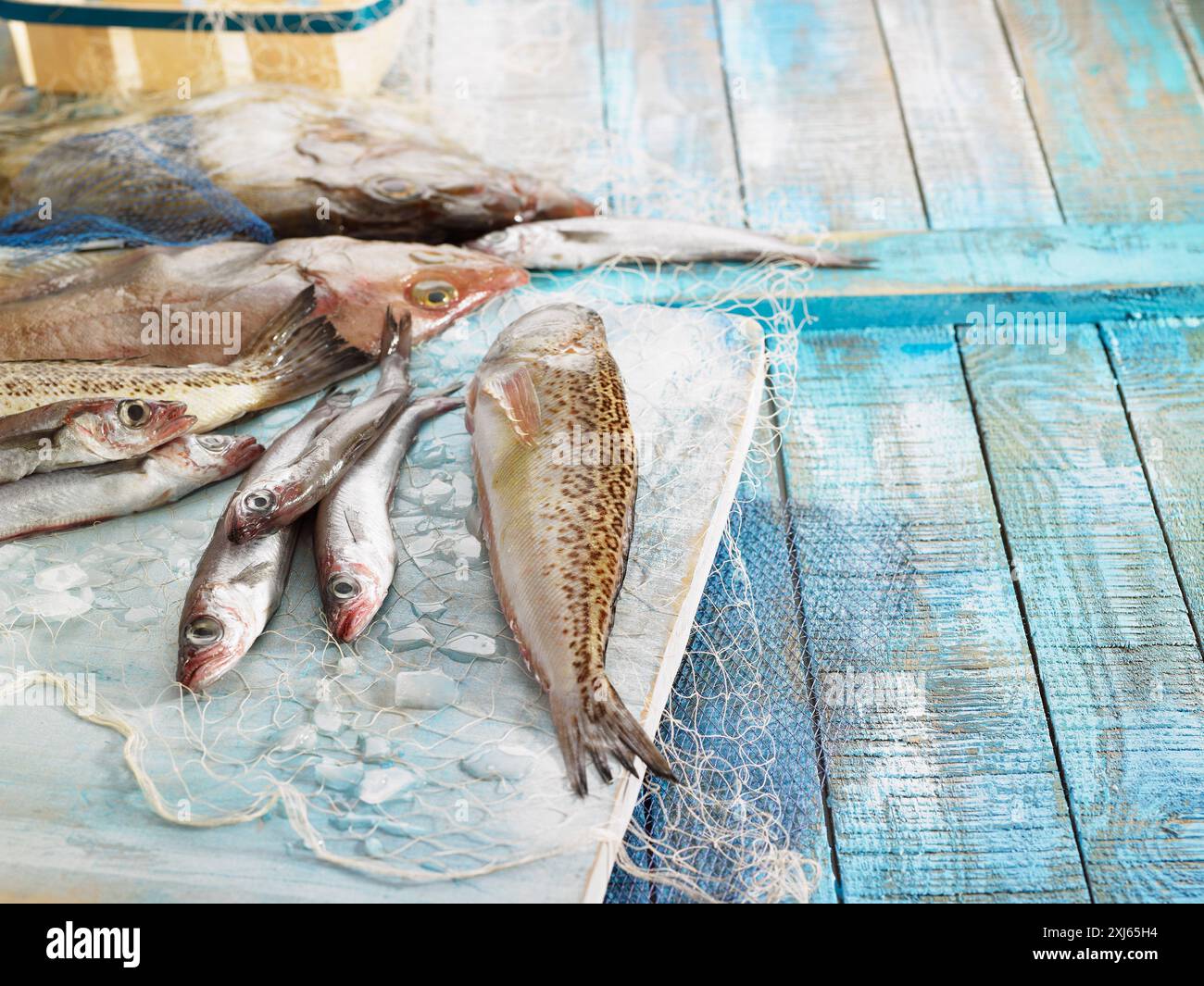 Auswahl an frischem Fisch Stockfoto