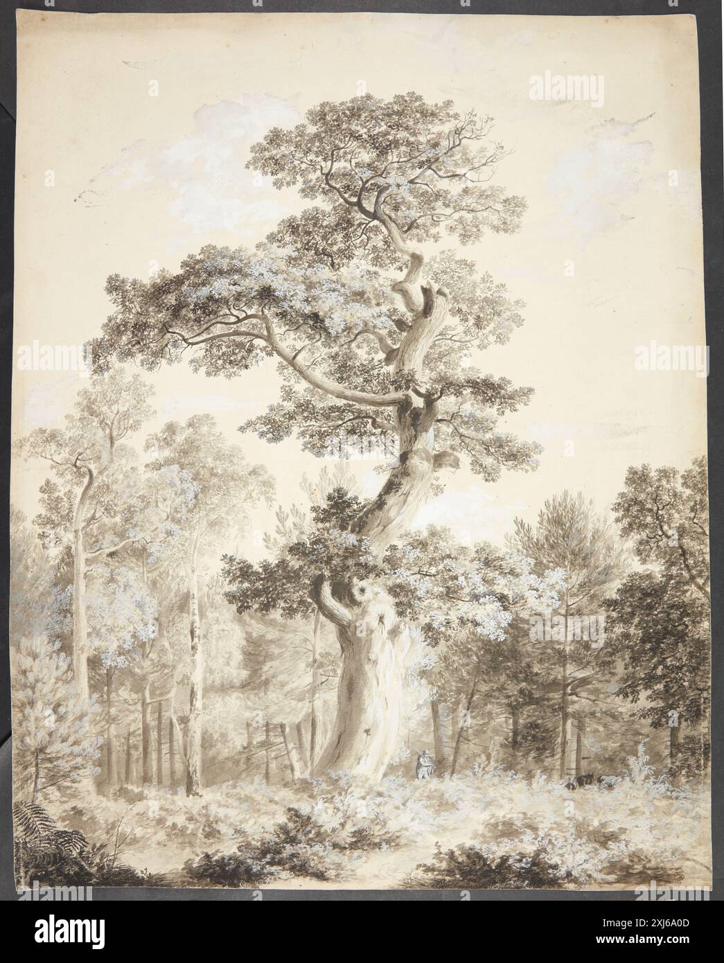 Landschaft mit großem Holz und Jäger Ubekendt tysk, Kolbe (I), Carl Wilhelm 1759 - 1835 Zeichnung Landskab med stort træ og Jæger Stockfoto