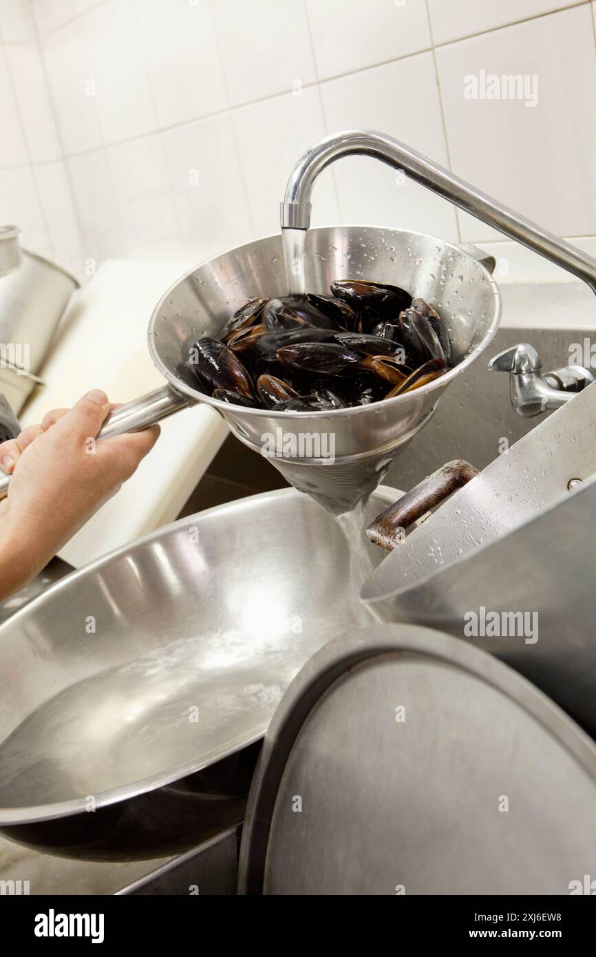 Reinigung der Muscheln in einer Profiküche Stockfoto