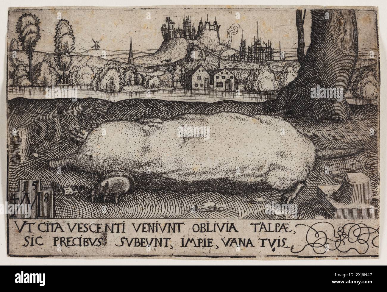 Gravur von Melchior Lorck (1526–1583) mit einem Maulwurf, der sich auf Textur, Anatomie und naturalistische Darstellung konzentriert. Stockfoto