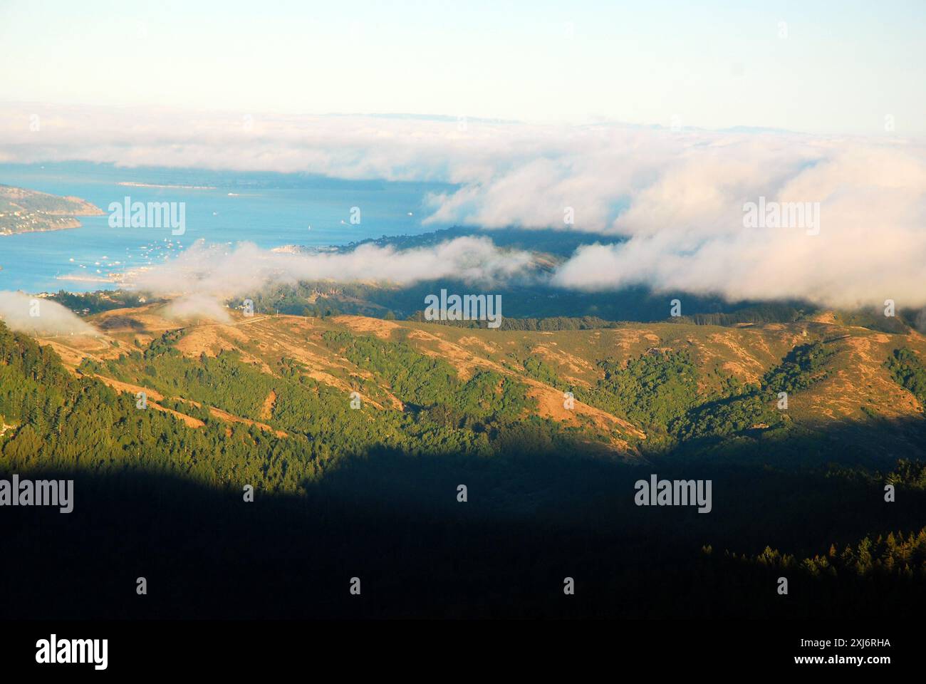 Nebel rollt über die Hügel des Mount Tamalpais im Marin County, Kalifornien Stockfoto