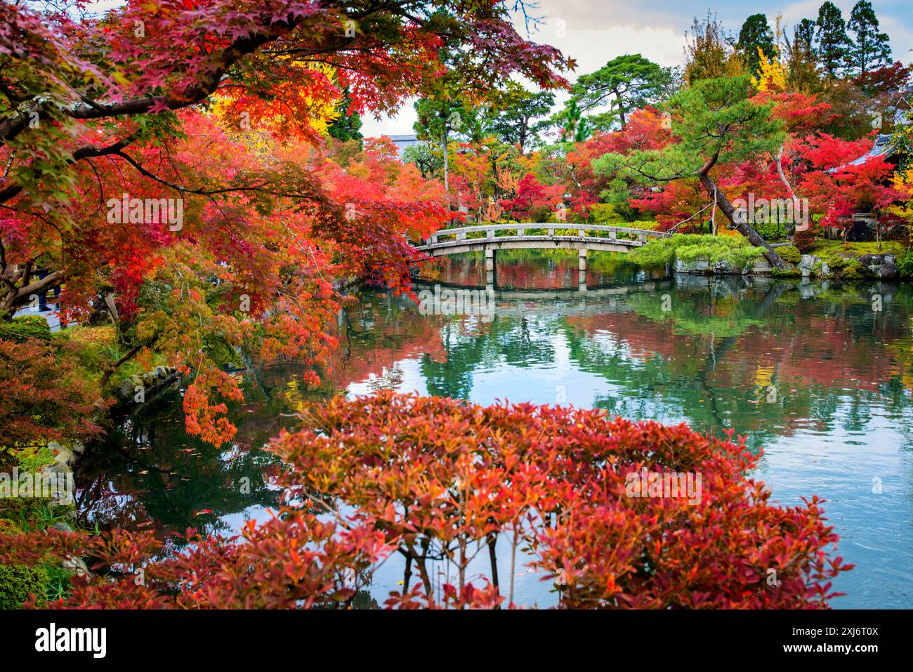 Farbenfrohe Herbstbäume rund um den Eikando-Tempel, Kyoto, Japan Stockfoto