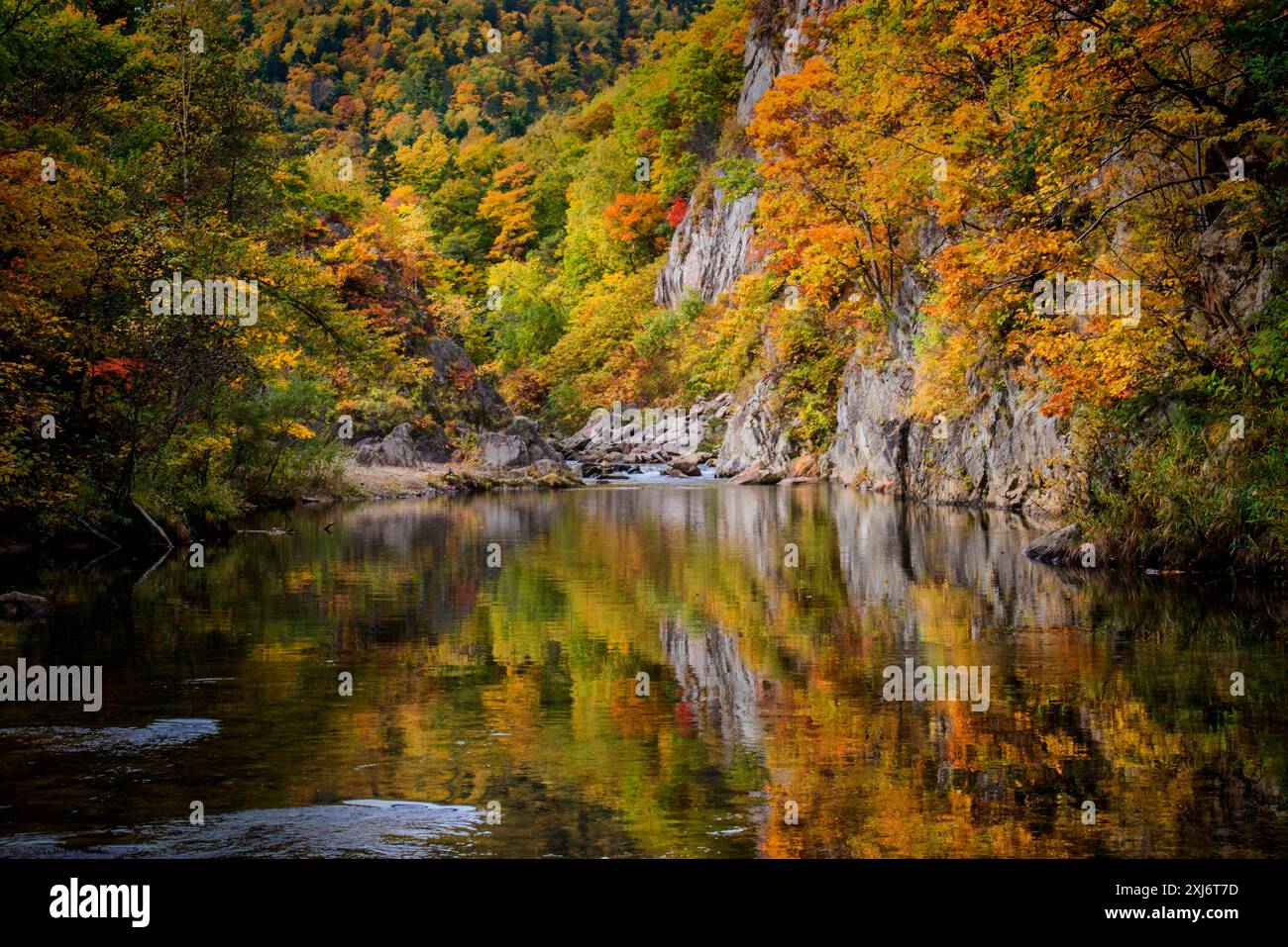 Herbstliches Laub und Felsreflexe in einem Fluss, Hokkaido, Japan Stockfoto