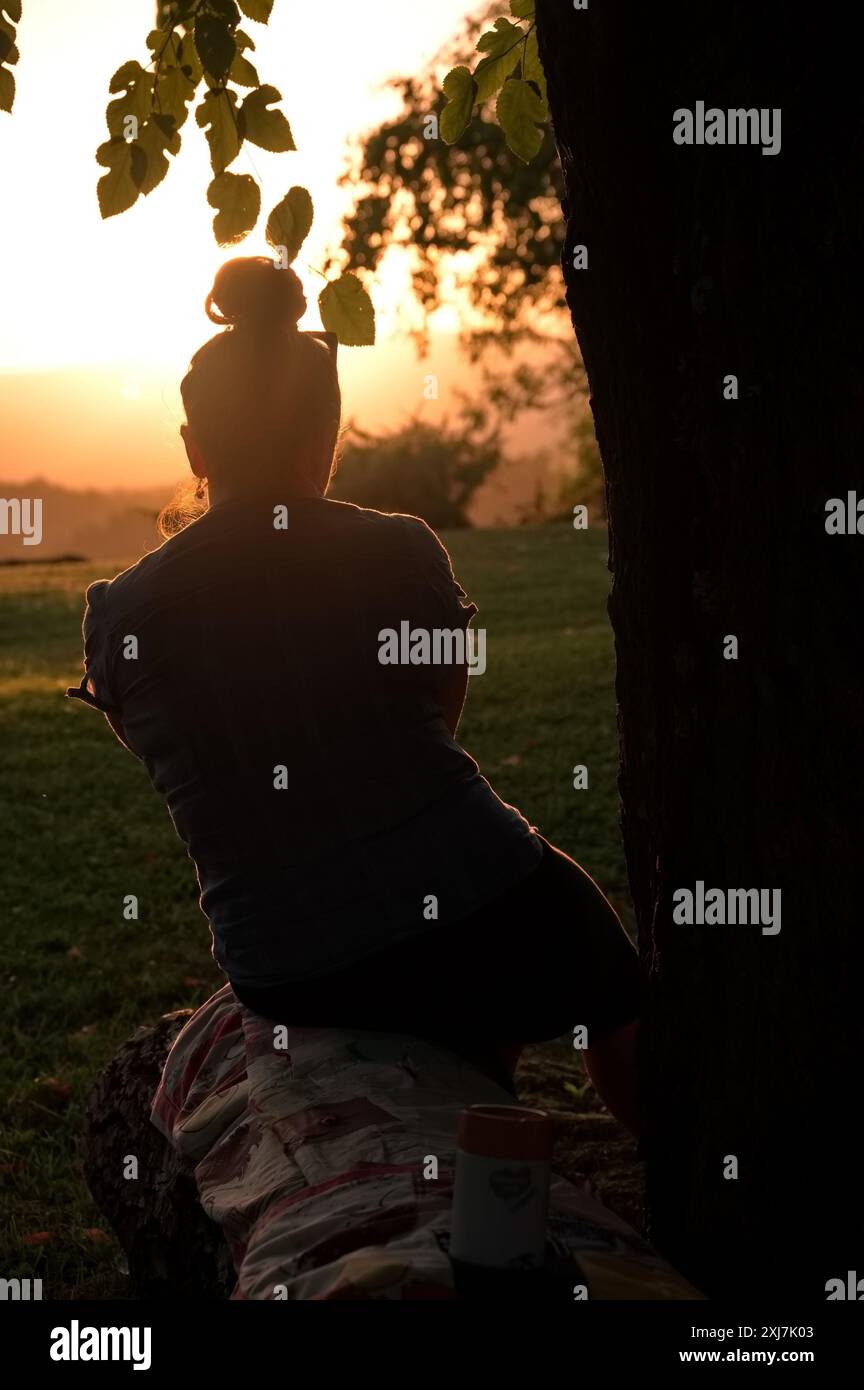 Silhouette einer Reifen Frau, die an einem Baum sitzt und ein Foto macht Stockfoto