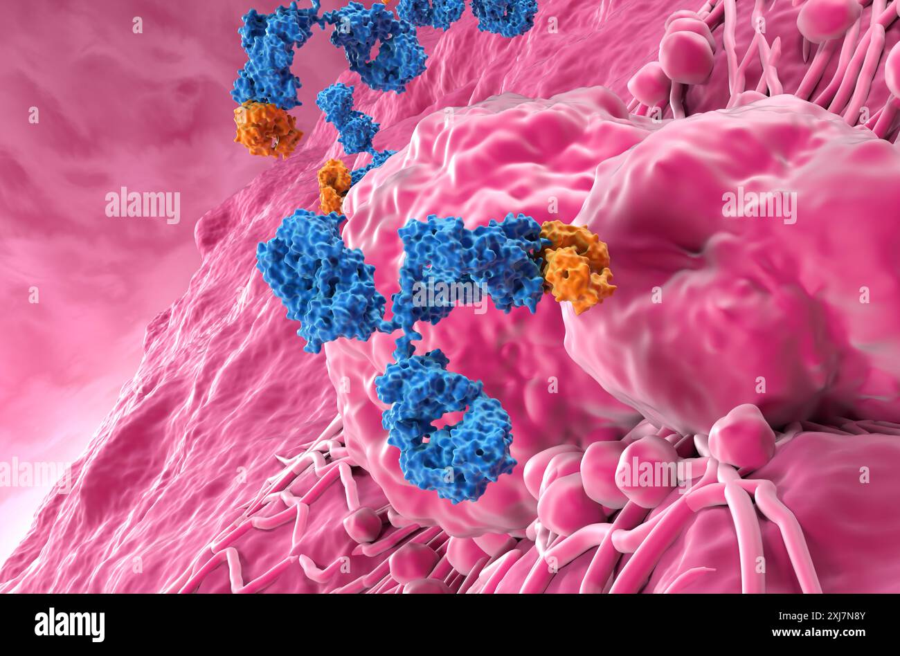 Monoklonale Antikörperbehandlung beim Schilddrüsenkarzinom - Nahaufnahme 3D-Illustration Stockfoto