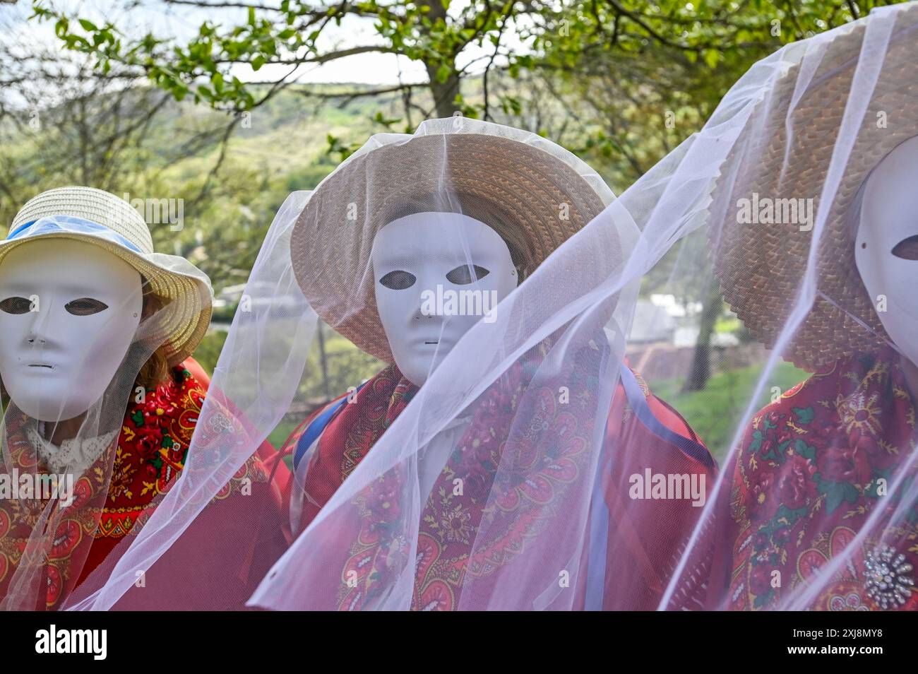 Die Madamitas de Entrimo, die aus der kleinen Stadt Entrimo in Galicien stammt, sind ein integraler Bestandteil der Entroido-Feierlichkeiten in der Region. Diese Figuren stammen aus dem 18. Jahrhundert und repräsentieren die Eleganz und Anmut der einheimischen Frauen jener Zeit. Die Madamitas sind in aufwendigen und farbenfrohen Kostümen mit Spitze, Bändern und Blumenmustern gekleidet und symbolisieren das kulturelle Erbe und den festlichen Geist von Entrimo und erwecken Geschichte und Tradition in dieser fröhlichen Feier zum Leben. Stockfoto