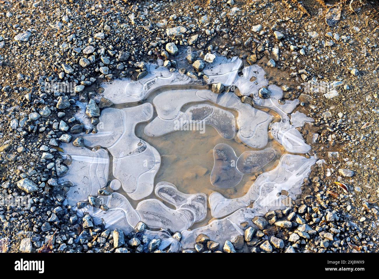 Gefrorene Wasserpfütze mit Luftblasen auf einem Kiesweg Stockfoto
