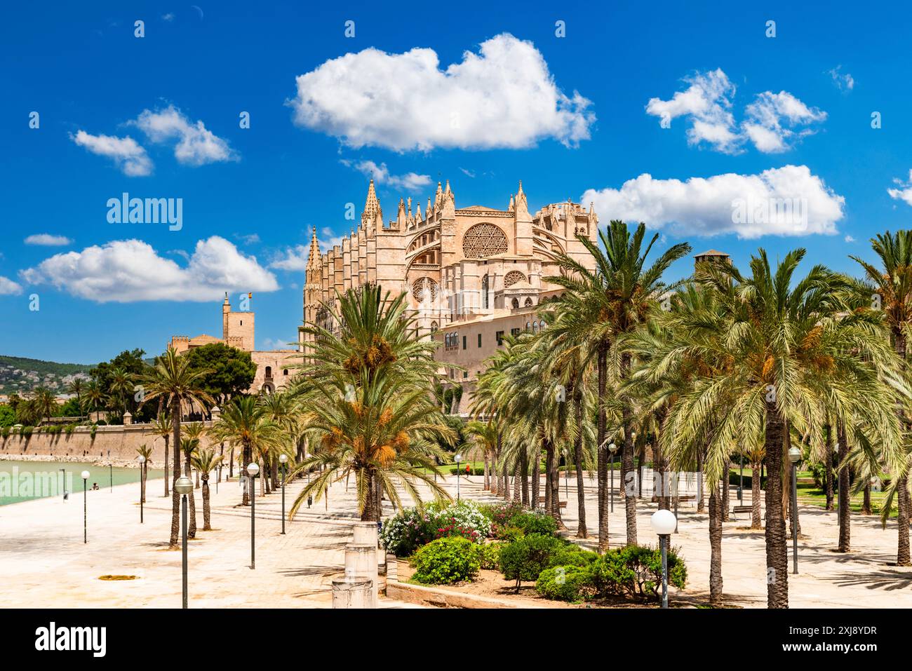 Palma de Mallorca - Parc de la Mar mit der Kathedrale La Seu und dem Almudaina-Palast im Hintergrund Stockfoto