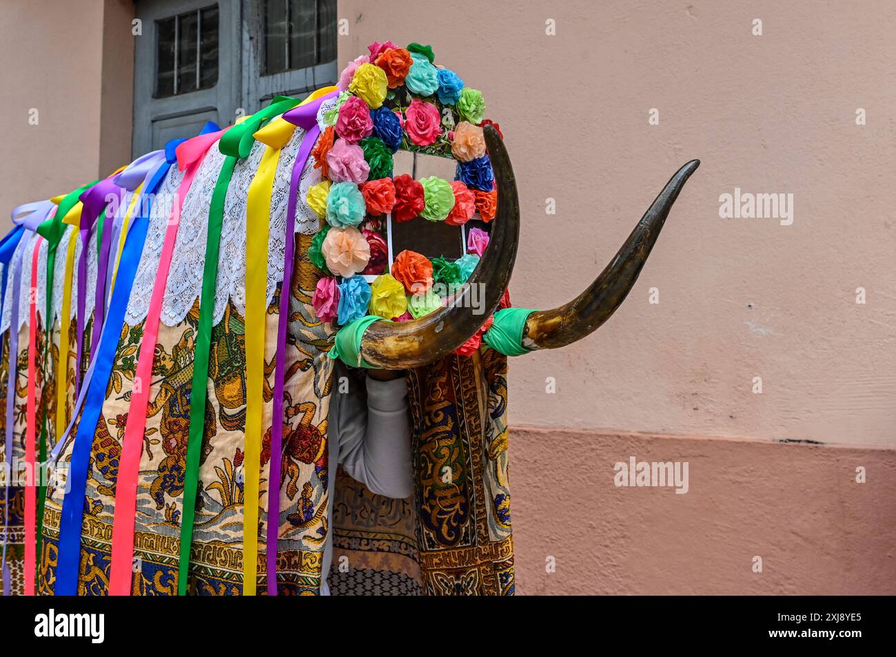 Der Toro von O Bolo, eine zentrale Figur der lokalen Entroido-Feiern, ist eine lebendige Darstellung der alten Traditionen in Galicien, Spanien. Das Toro-Kostüm stammt aus uralten Fruchtbarkeitsriten und ist mit bunten Stoffen, Glocken und Hörnern verziert, die Stärke, Schutz, und die Vertreibung bösartiger Geister. Dieser Charakter spielt eine wichtige Rolle bei den Festlichkeiten, die das reiche kulturelle Erbe und den Gemeinschaftsgeist von O Bolo verkörpern. Stockfoto