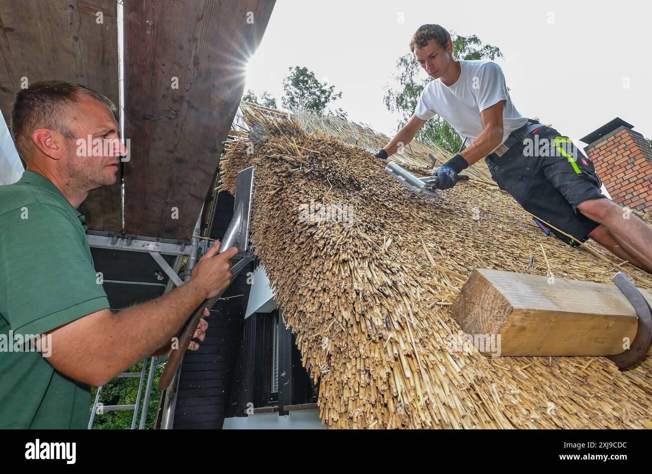 17. Juli 2024, Brandenburg, Burg (Spreewald): Pascal Herold (r), Dachdecker, und sein Chef, Dachdecker Daniel Girke, arbeiten gemeinsam auf einem Strohdach eines Hauses im Spreewald. Herold ist einer von zwölf Dachdecker-Lehrlingen, die ihre Gesellenprüfung bestanden haben. Das Besondere an ihm ist, dass er sich auf Strohdächer spezialisiert hat und als erster Lehrling in Südbrandenburgland auf diesem Gebiet getestet wurde. Herold arbeitet gerne an alten Gebäuden. „Ein Dach wie dieses kann bis zu 50 Jahre halten“, erklärt Dachdeckermeister Girke. Hier in der Spreewaldstadt Burg ist derzeit ein Haus komplett in Betrieb Stockfoto