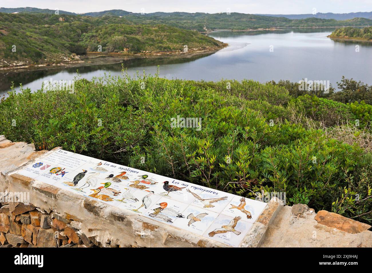 Informationstafel über Vögel in der Lagune des Naturparks s Albufera des Grau, Menorca, Balearen, Spanien, Mittelmeer, Europa Copyright: GO Stockfoto