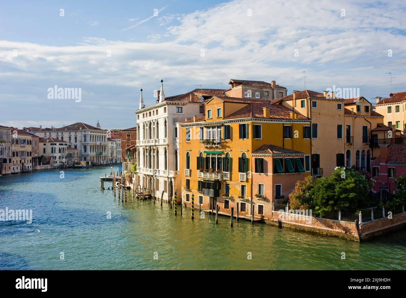 Blick auf den Canal Grande von der Ponte de l Accademia in Richtung Ca Rezzonico, Venedig, UNESCO-Weltkulturerbe, Venetien, Italien, Europa Copyright: Johnx Stockfoto