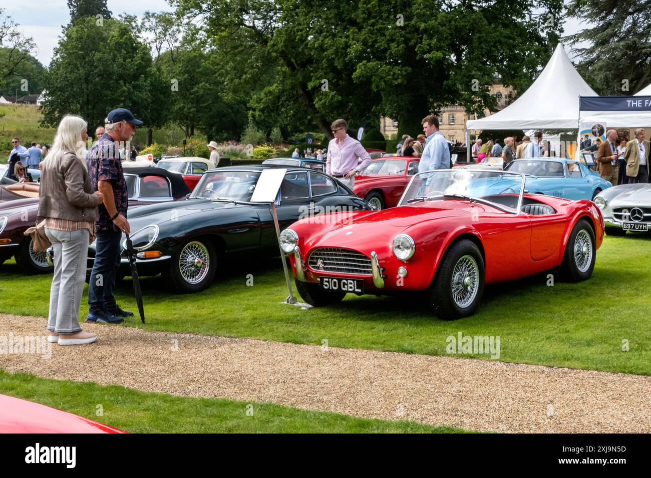 Erster AC Cobra beim Yorkshire Elegance Oldtimer-Event in Grantley Hall in der Nähe von Ripon North Yorkshire, Großbritannien Stockfoto