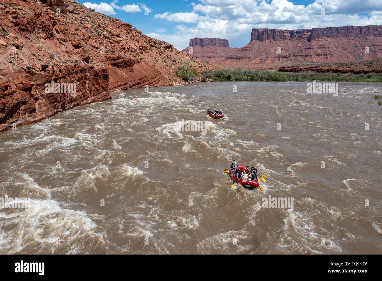 Touristen genießen eine geführte Rafting-Tour durch die großen Wellen in White's Rapid auf dem Colorado River am Hochwasser. Moab, Utah. Stockfoto