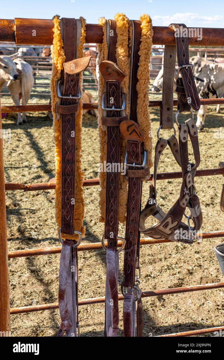 Flankengurte für die Bockpferde hängen an einem Zaun bei einem Rodeo im ländlichen Utah. Stockfoto